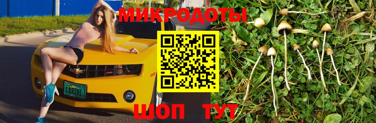 наркотики  Галлюциногенные грибы ЛСД  Вход с VPN  Гуково 