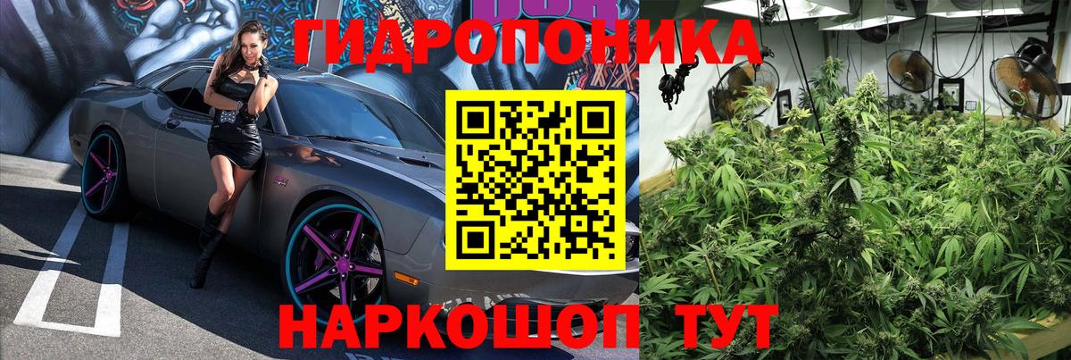 Гуково  Бошки Шишки ГИДРОПОН  Марихуана сатива  Бошки марихуана индика  Вход с VPN 